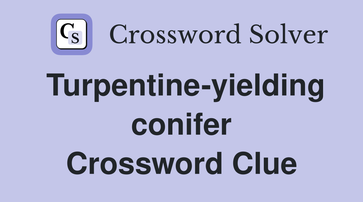 Turpentine-yielding conifer Crossword Clue