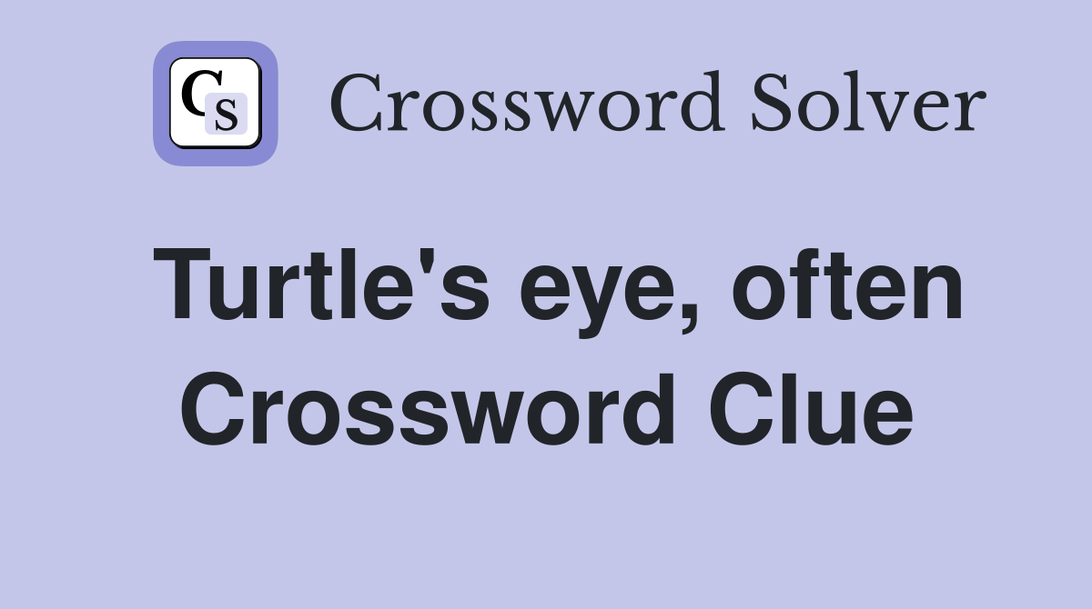 Turtle's eye, often Crossword Clue