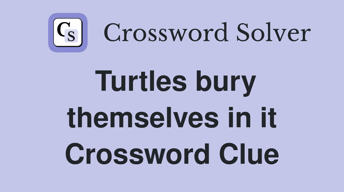 Turtles bury themselves in it Crossword Clue