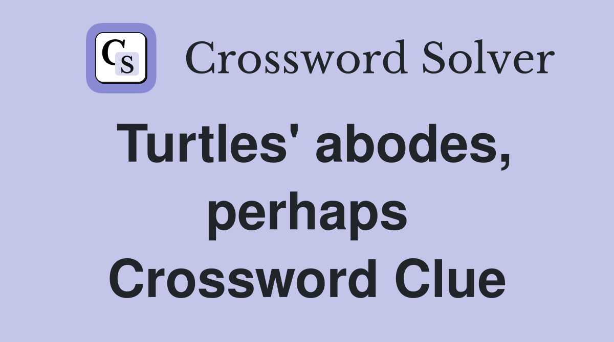 Turtles' abodes, perhaps Crossword Clue