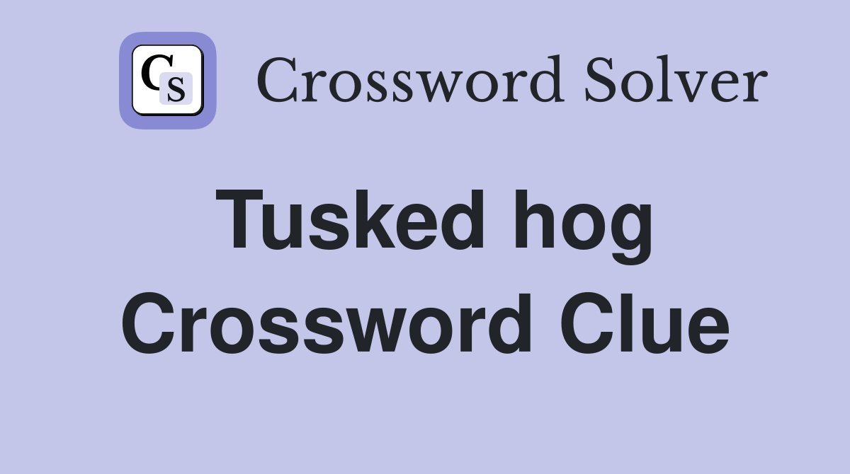 Tusked hog Crossword Clue