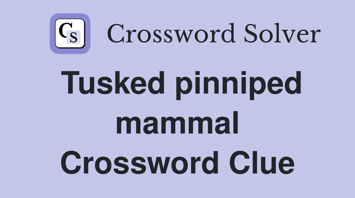 Tusked pinniped mammal Crossword Clue