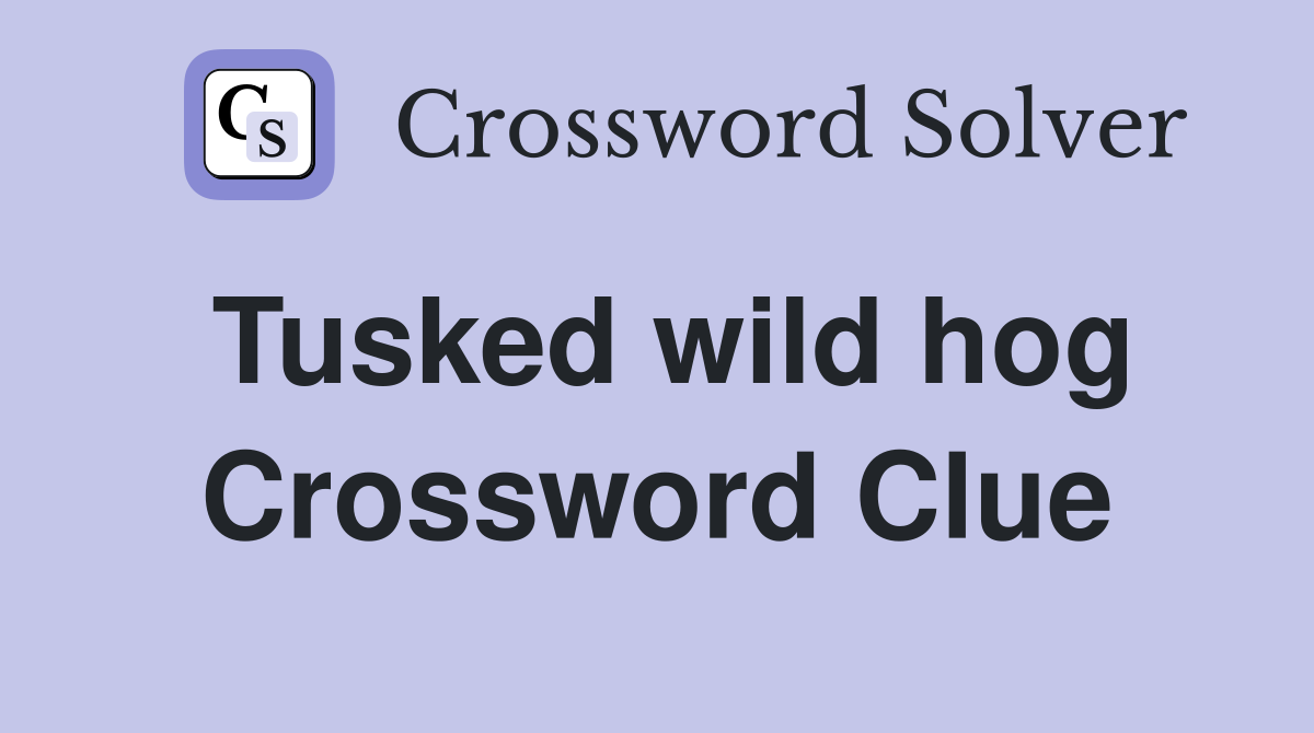 Tusked wild hog Crossword Clue