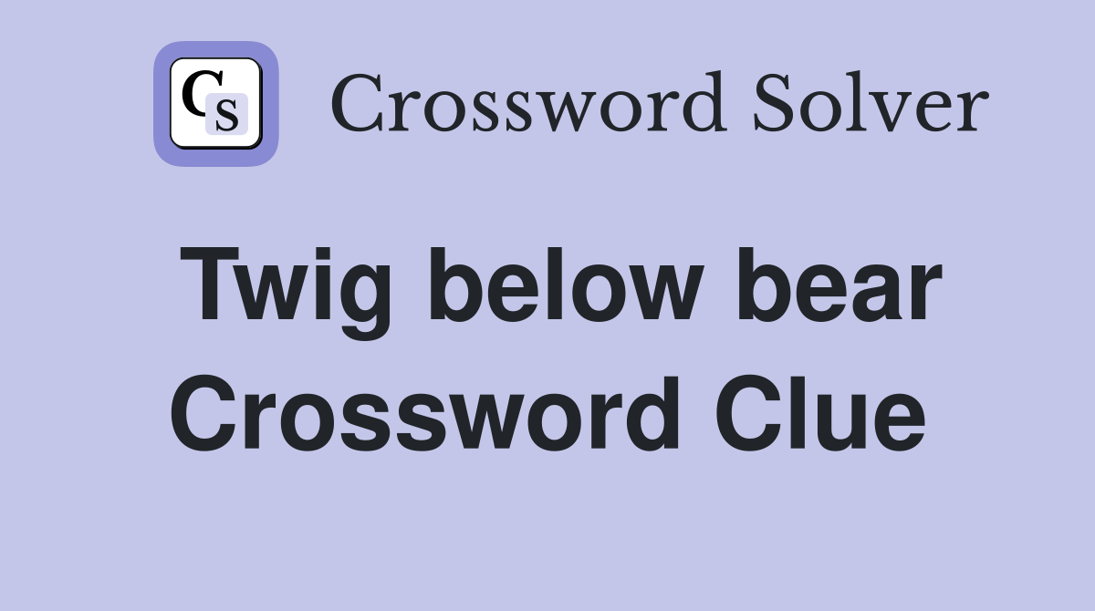 Twig below bear Crossword Clue