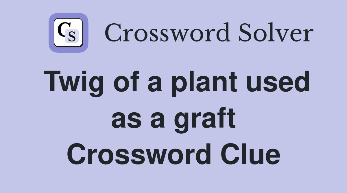 Twig of a plant used as a graft Crossword Clue