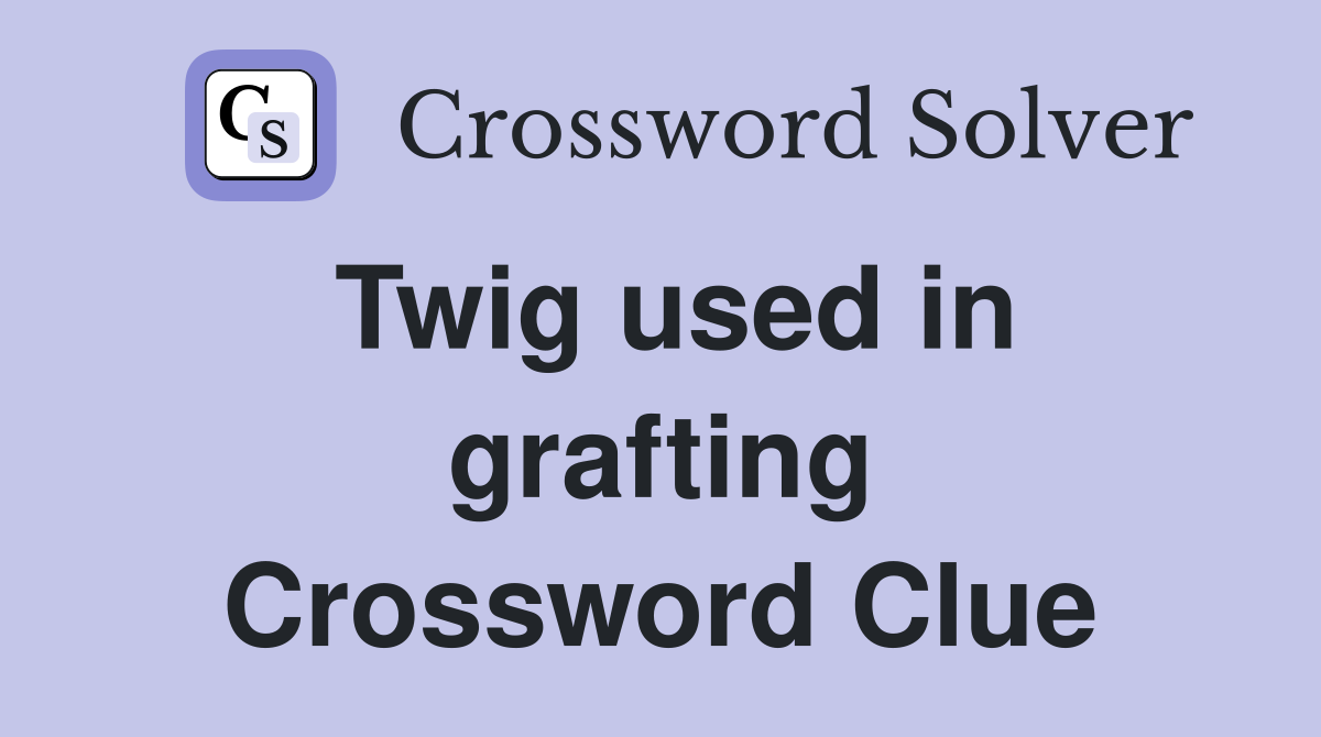 Twig used in grafting Crossword Clue