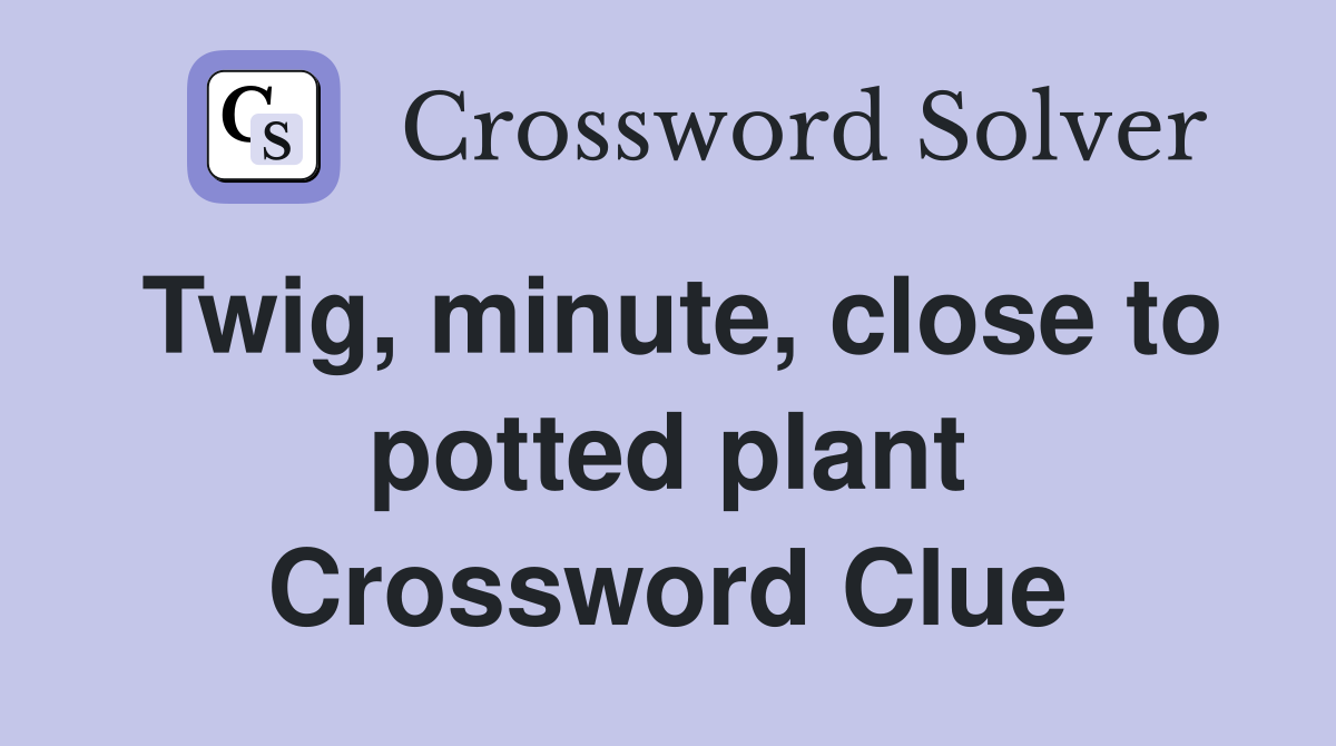 Twig, minute, close to potted plant Crossword Clue