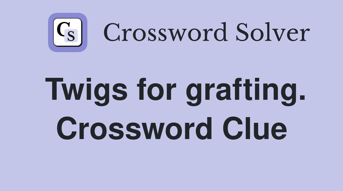 Twigs for grafting. Crossword Clue