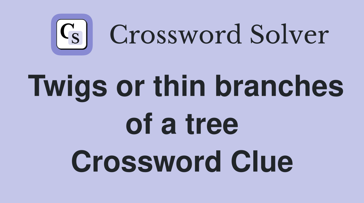 Twigs or thin branches of a tree Crossword Clue