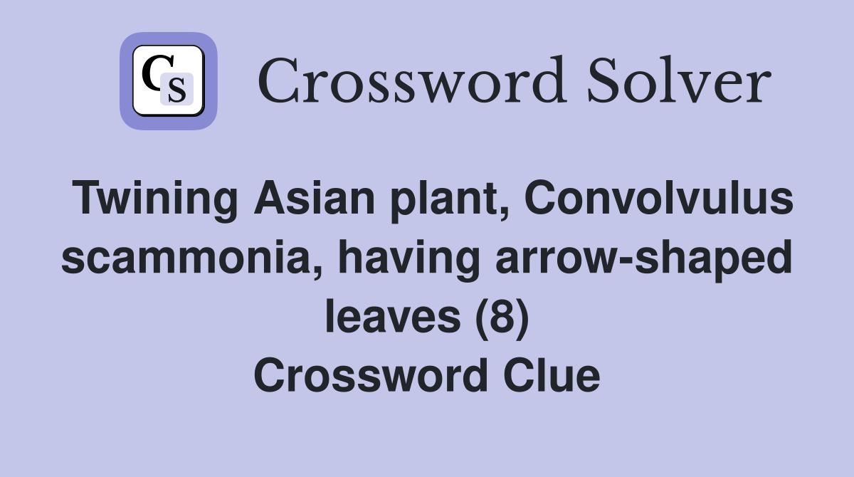 Twining Asian plant, Convolvulus scammonia, having arrow-shaped leaves (8) Crossword Clue