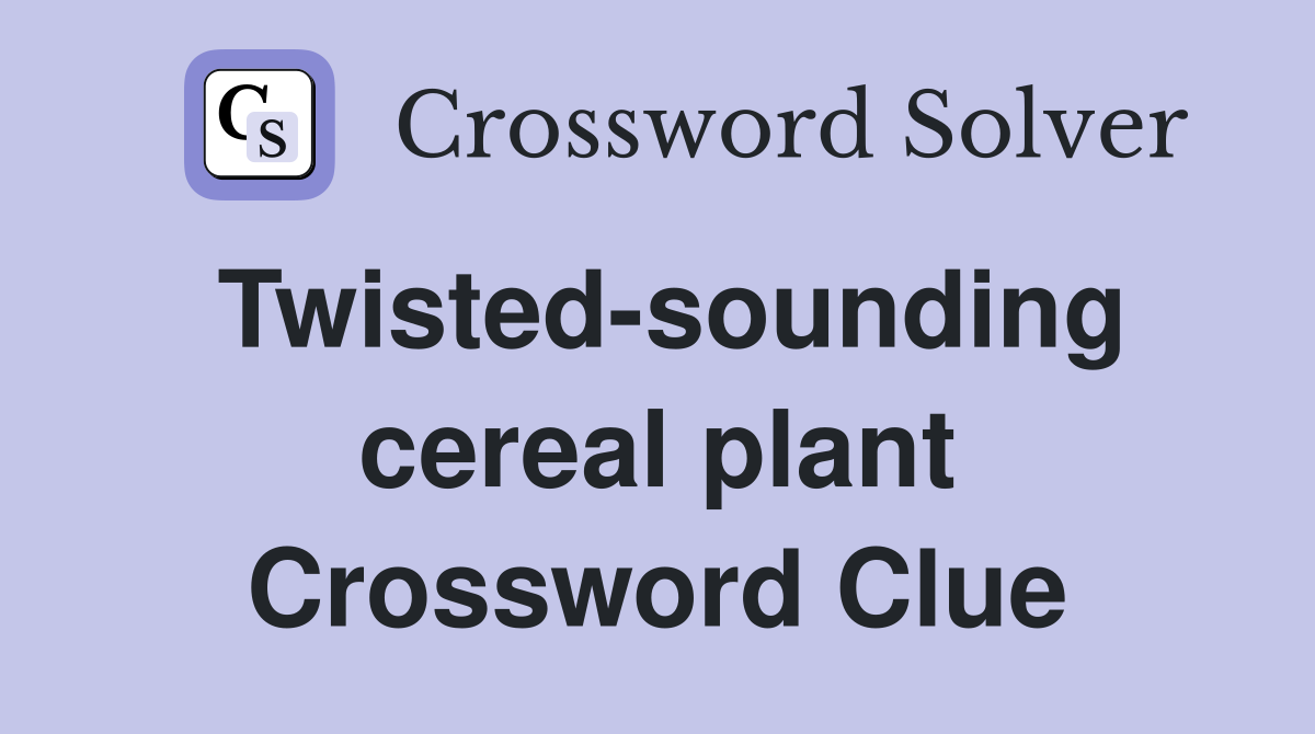 Twisted-sounding cereal plant Crossword Clue