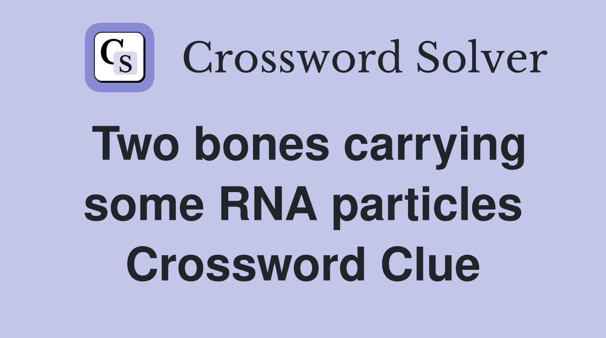 Two bones carrying some RNA particles Crossword Clue