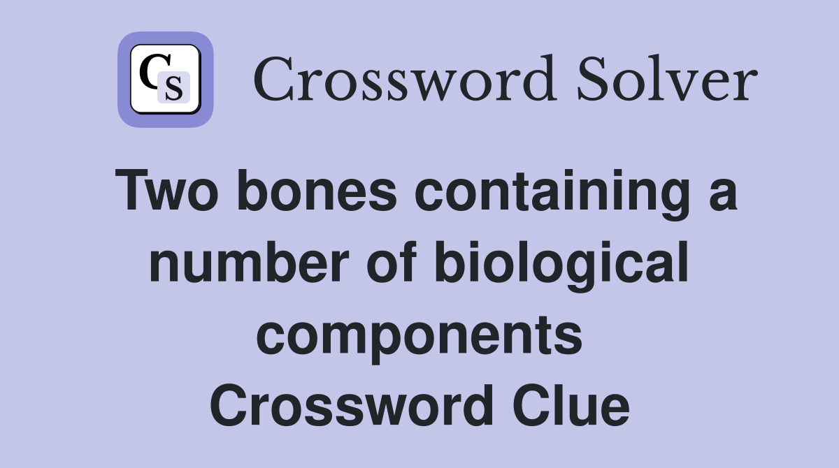 Two bones containing a number of biological components Crossword Clue