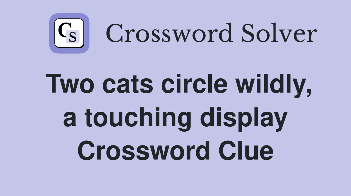Two cats circle wildly, a touching display Crossword Clue