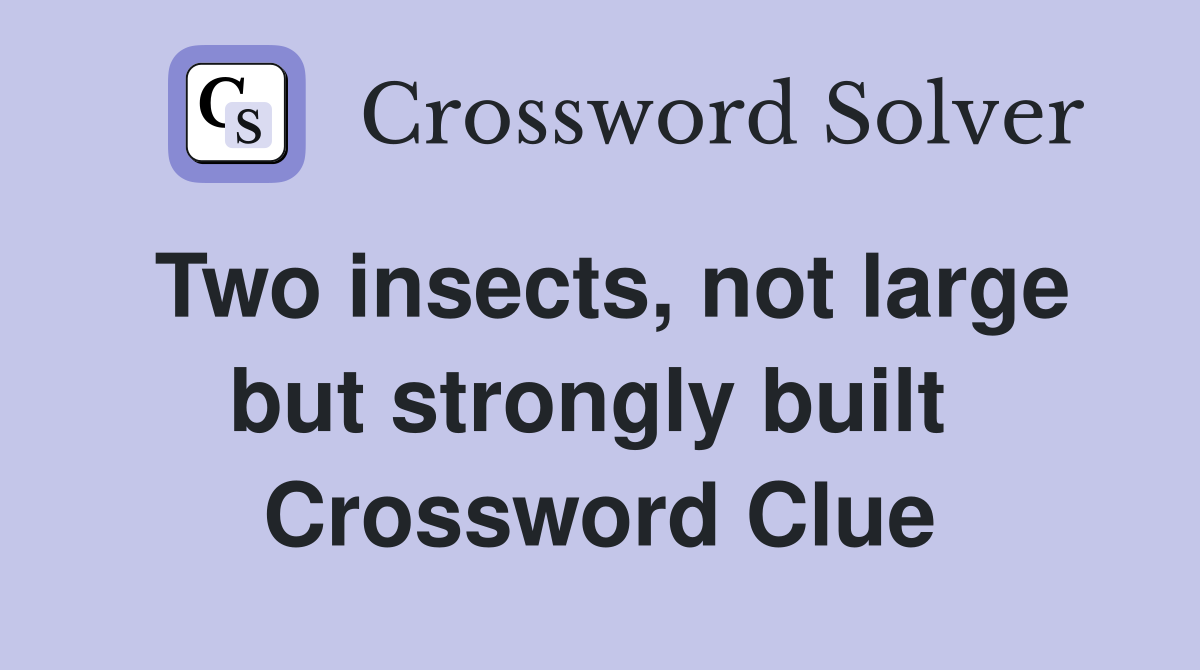 Two insects, not large but strongly built  Crossword Clue