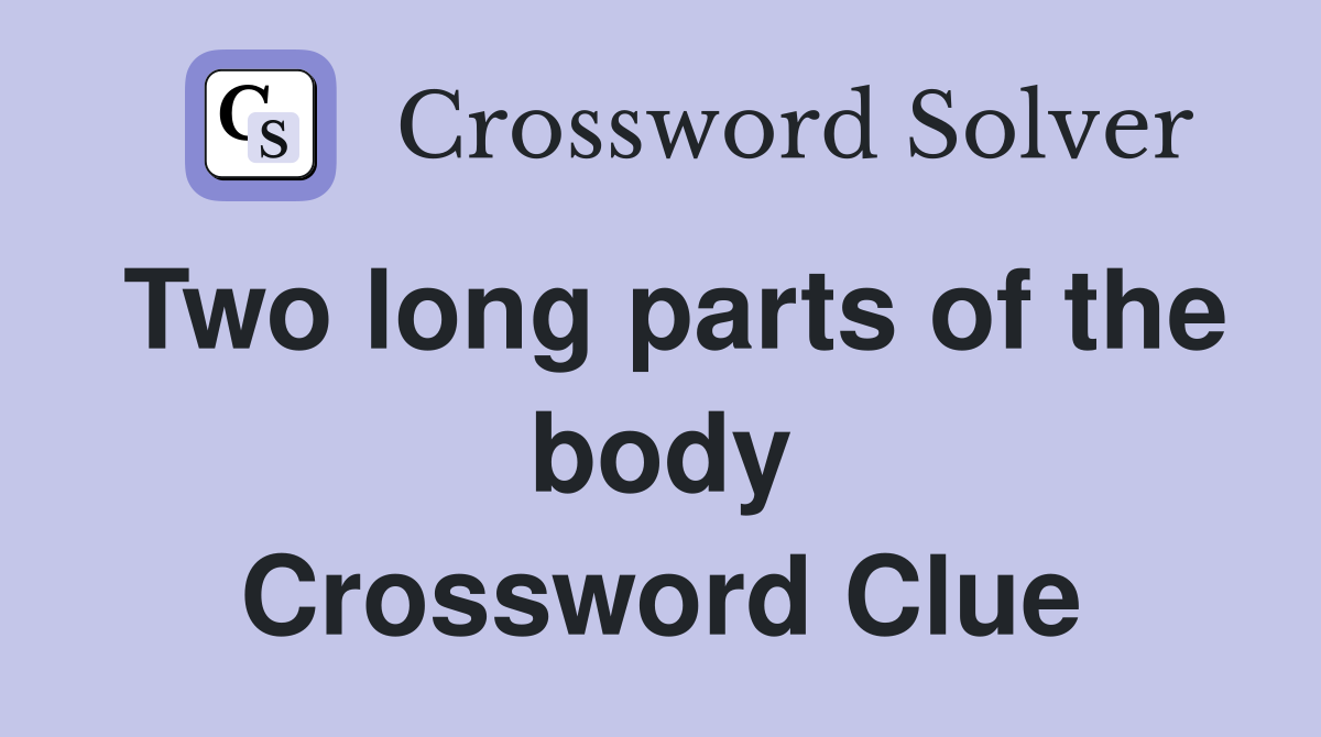 Two long parts of the body Crossword Clue