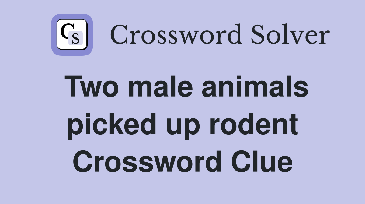 Two male animals picked up rodent Crossword Clue
