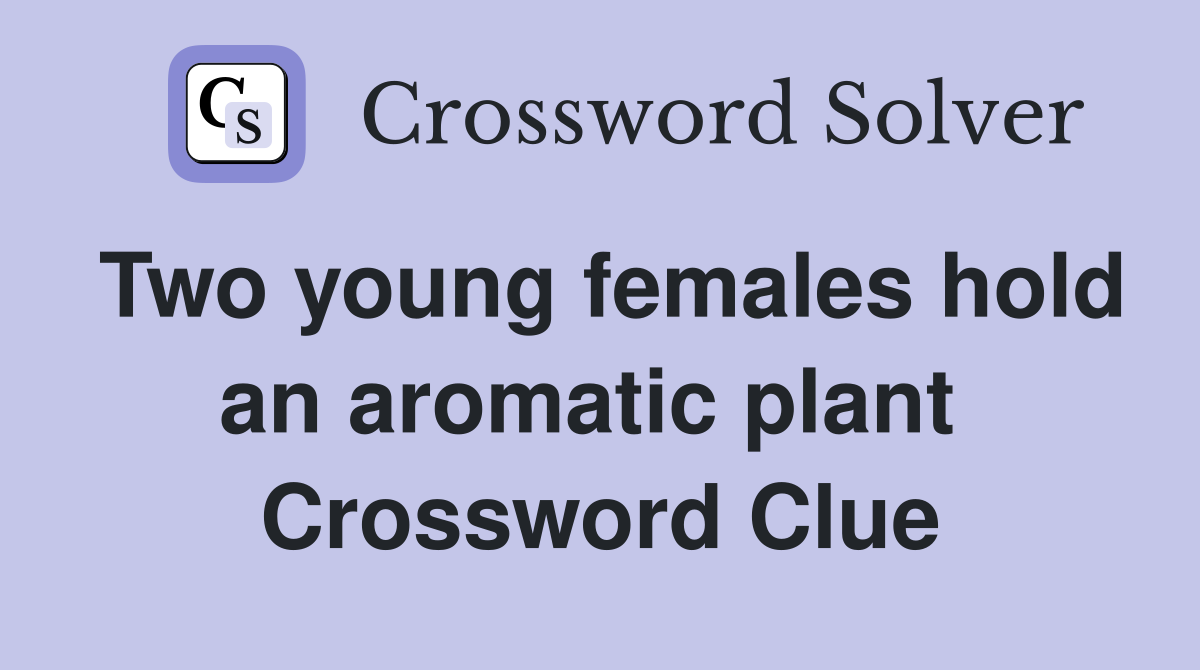 Two young females hold an aromatic plant  Crossword Clue