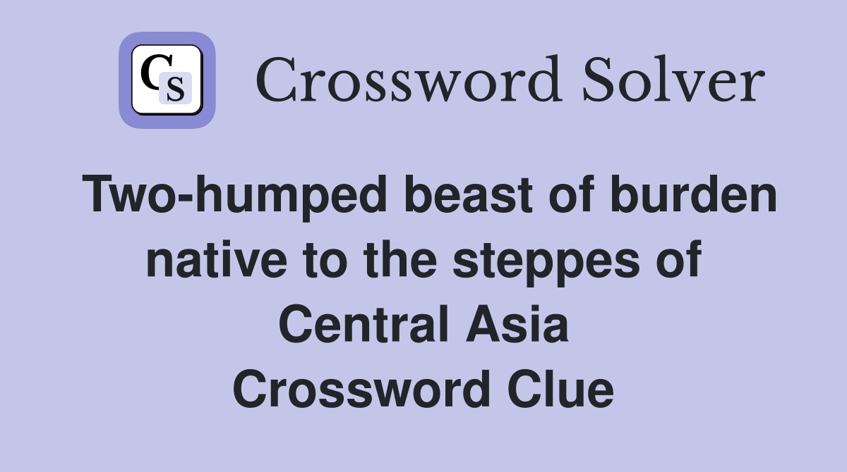 Two-humped beast of burden native to the steppes of Central Asia Crossword Clue
