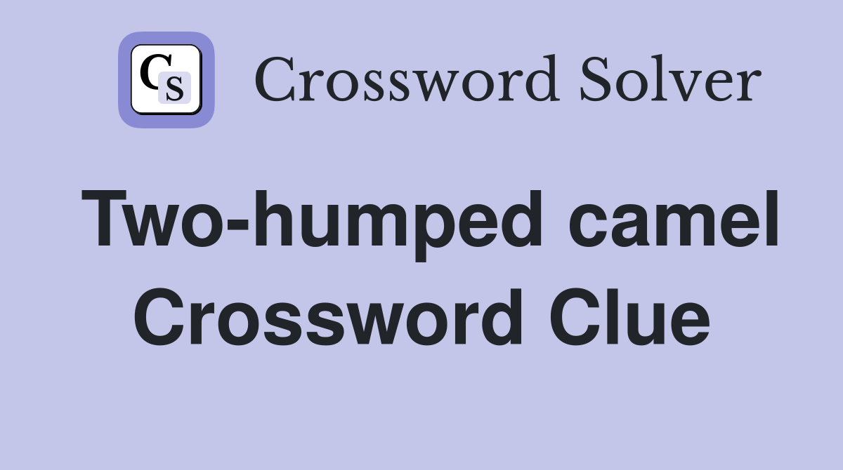 Two-humped camel Crossword Clue