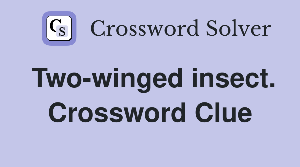 Two-winged insect. Crossword Clue