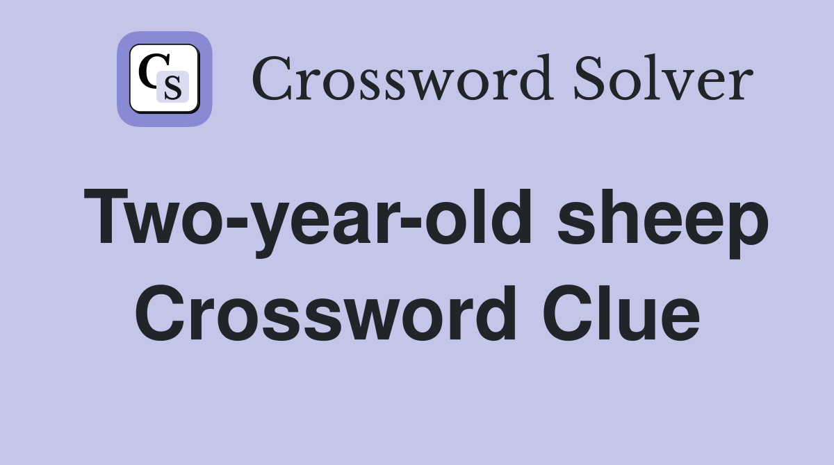 Two-year-old sheep Crossword Clue