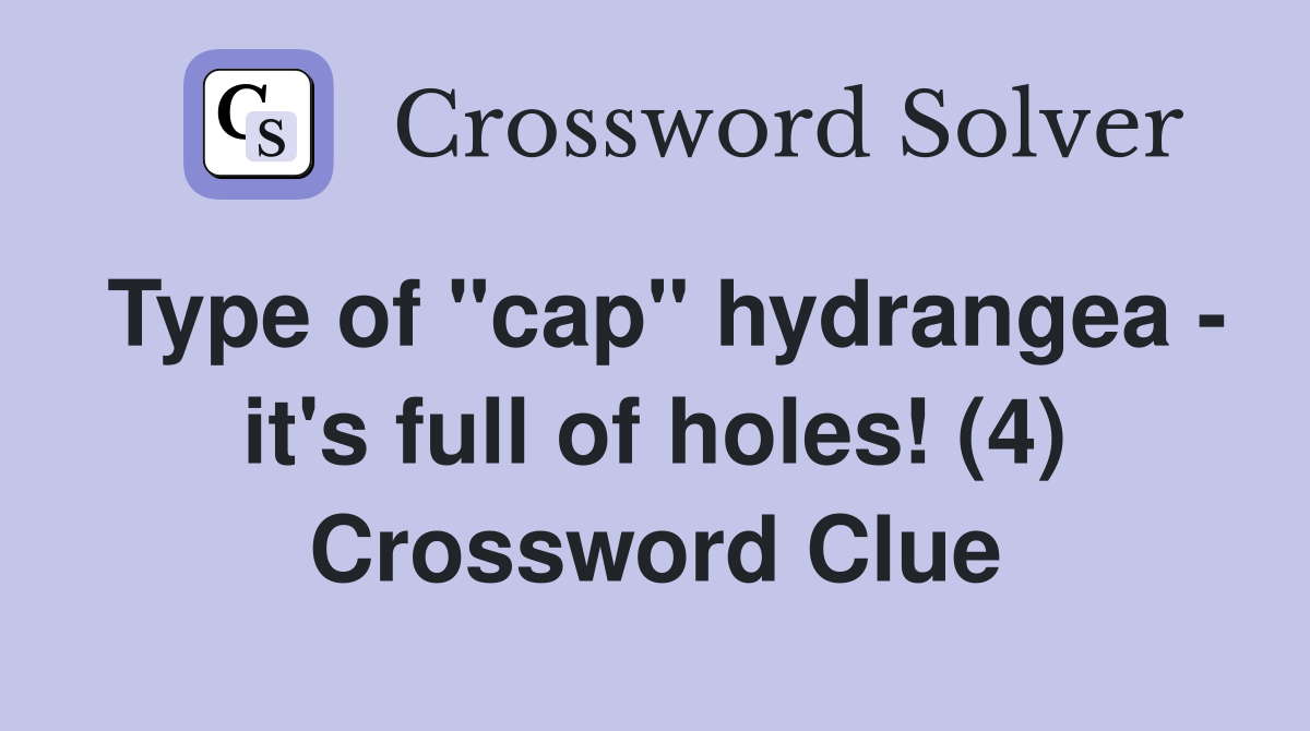 Type of "cap" hydrangea - it's full of holes! (4) Crossword Clue