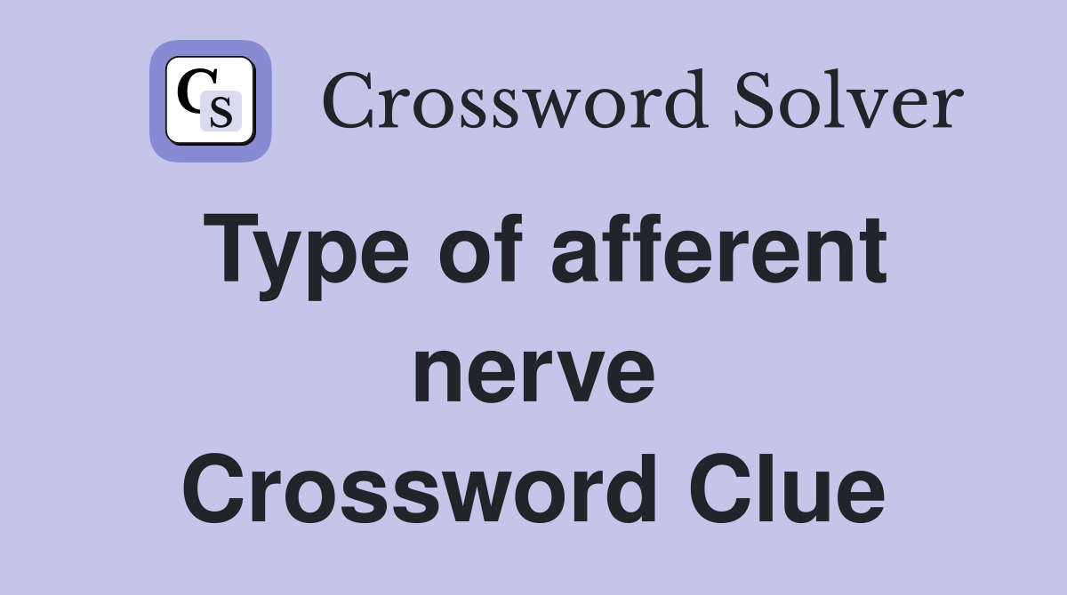 Type of afferent nerve Crossword Clue