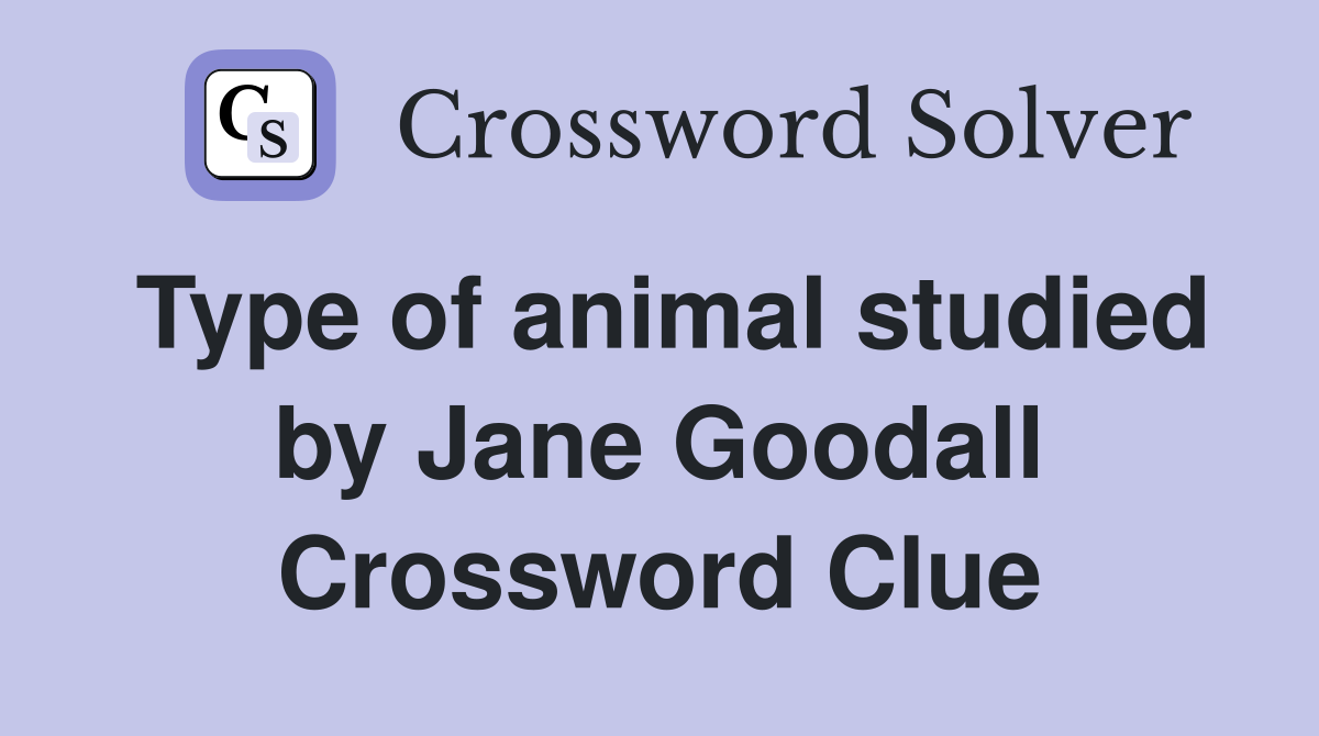Type of animal studied by Jane Goodall Crossword Clue