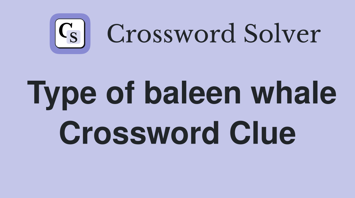 Type of baleen whale Crossword Clue