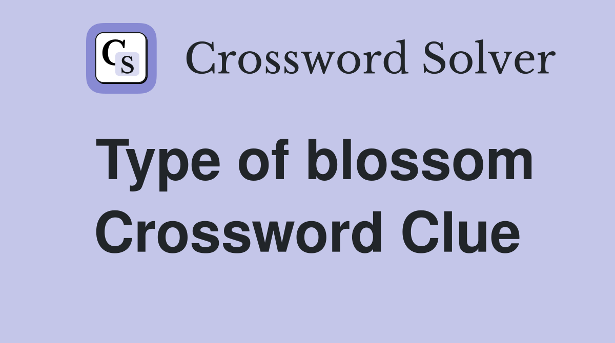 Type of blossom Crossword Clue