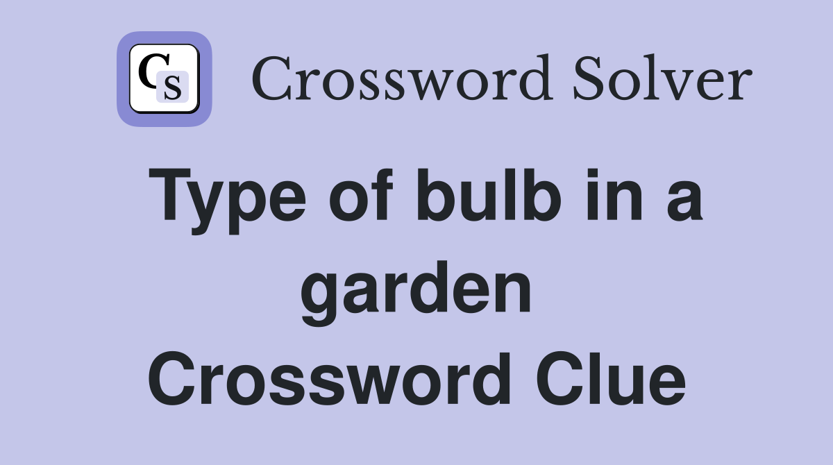 Type of bulb in a garden Crossword Clue