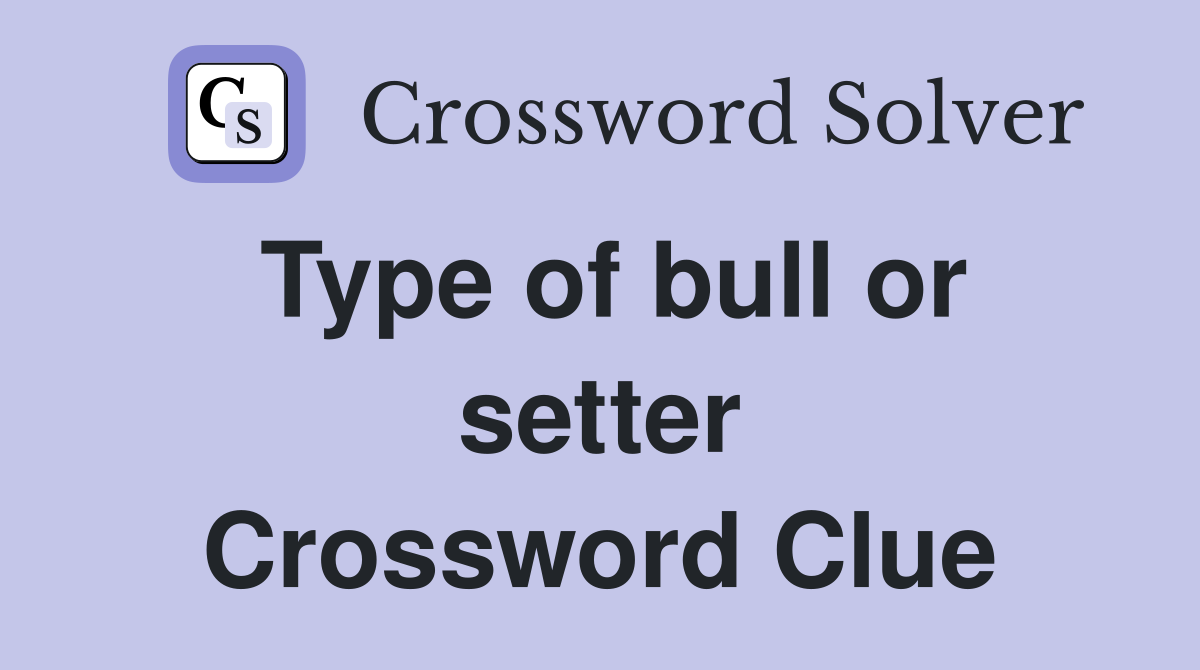Type of bull or setter Crossword Clue