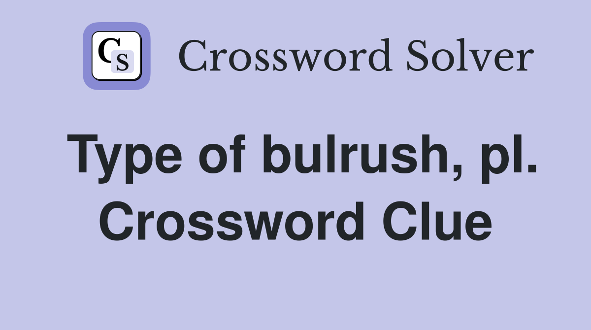 Type of bulrush, pl. Crossword Clue