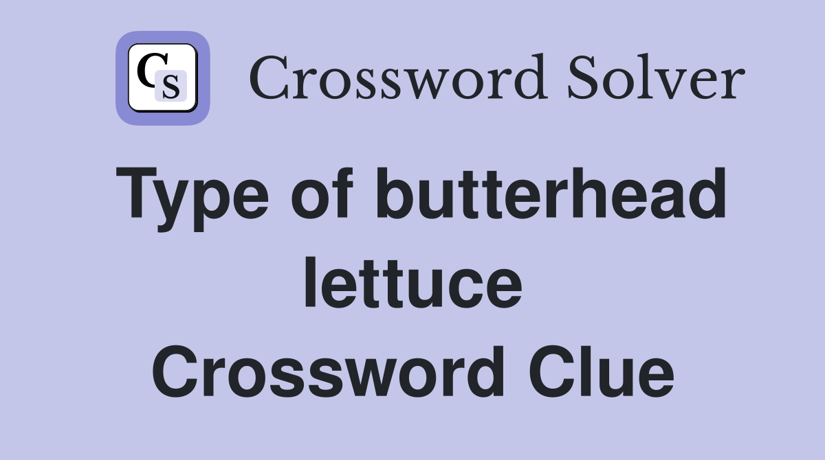 Type of butterhead lettuce Crossword Clue