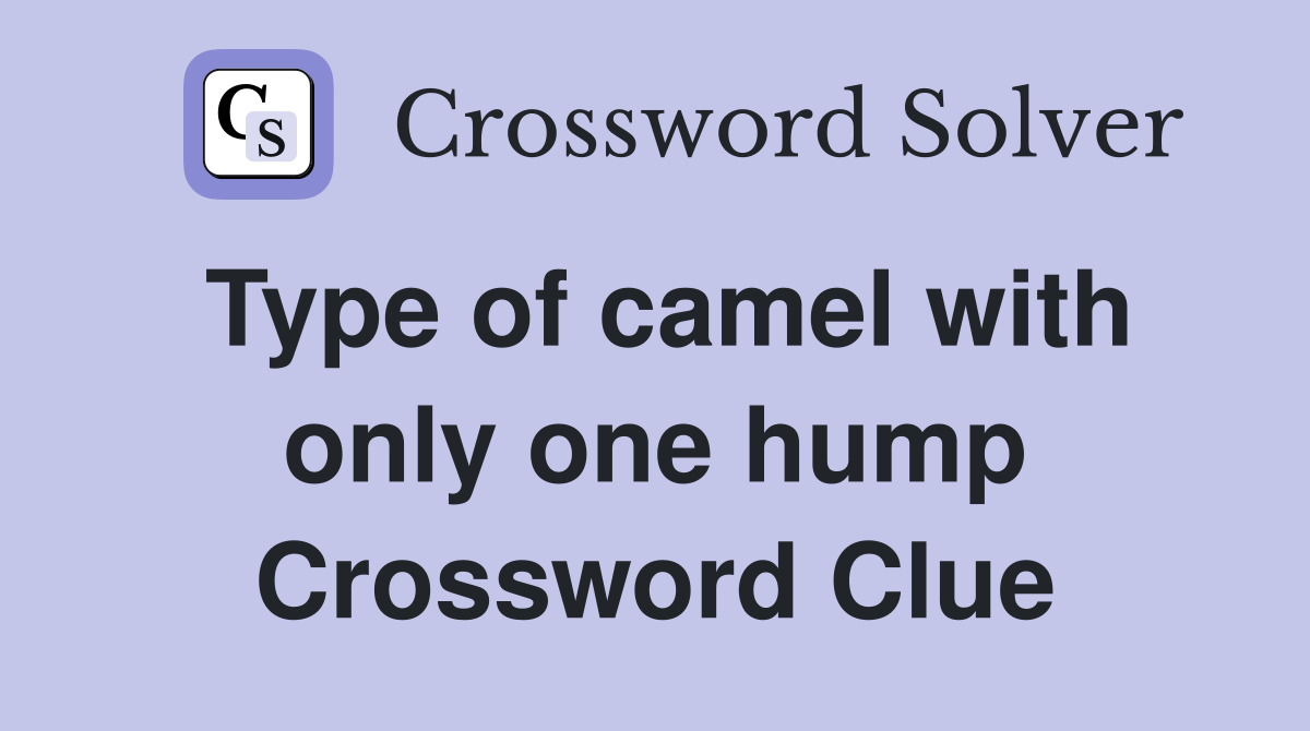 Type of camel with only one hump Crossword Clue