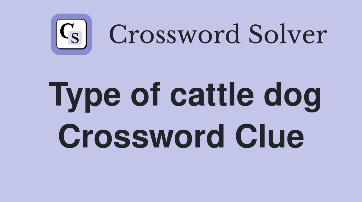 Type of cattle dog Crossword Clue