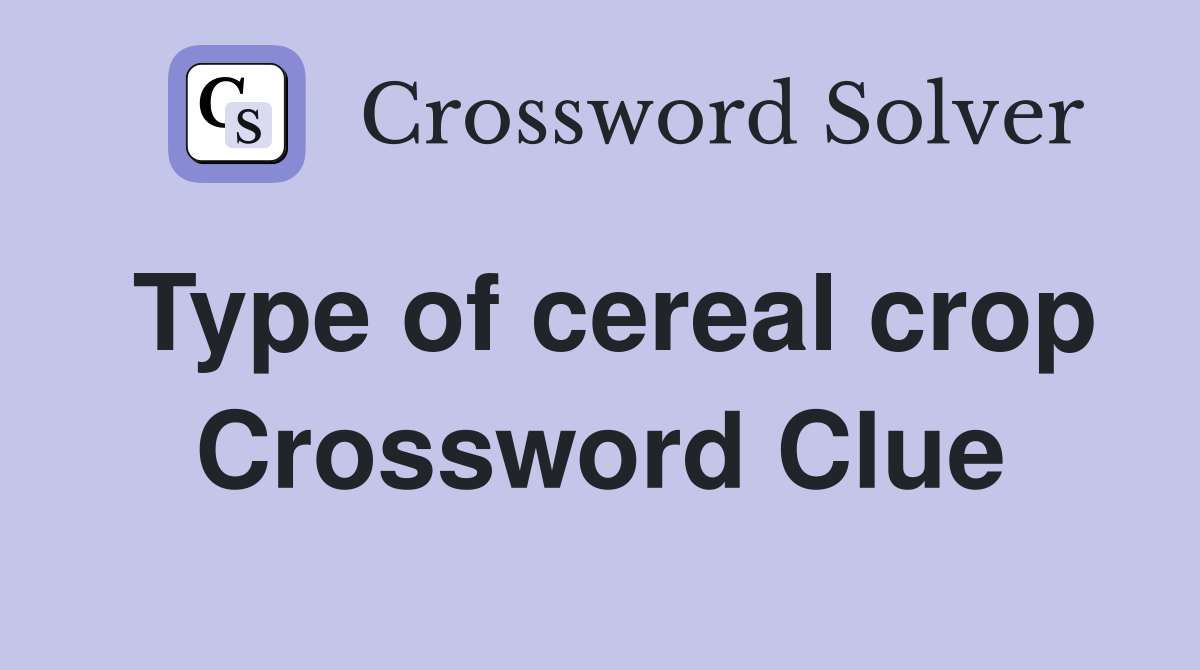 Type of cereal crop Crossword Clue