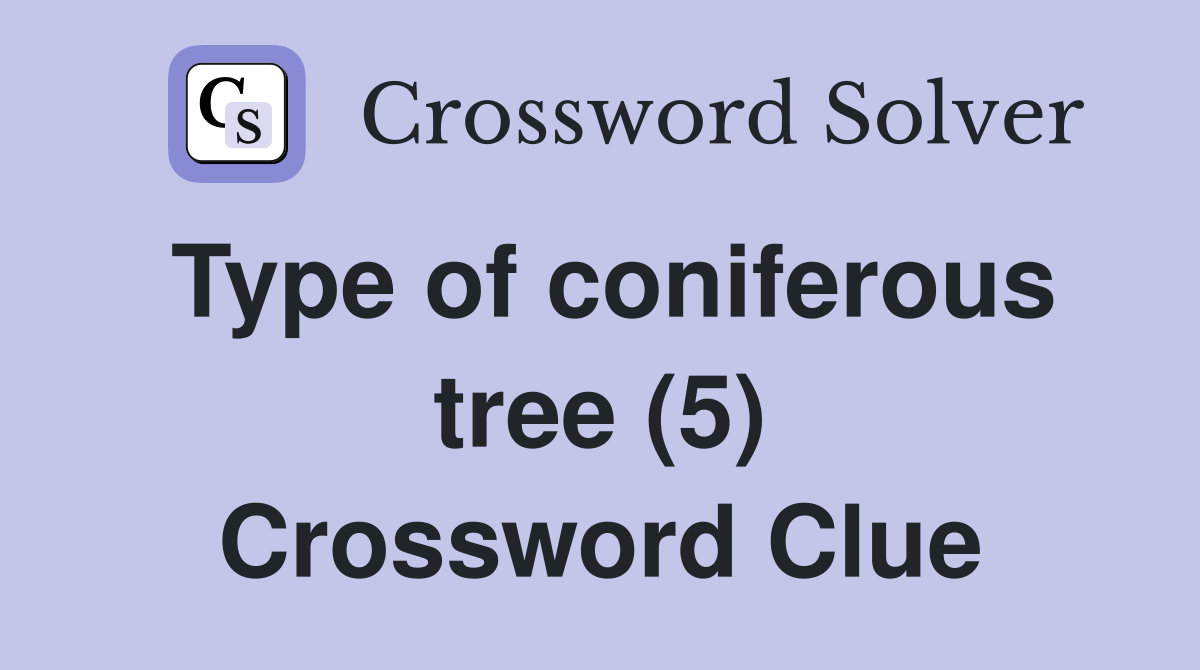 Type of coniferous tree (5) Crossword Clue