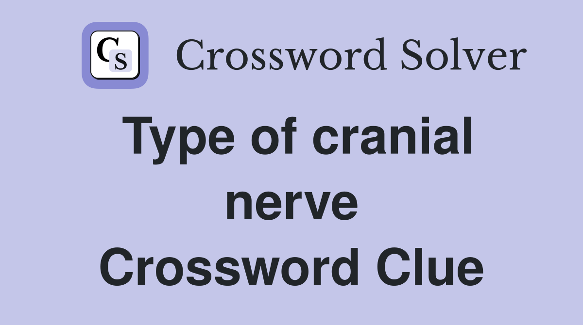 Type of cranial nerve Crossword Clue