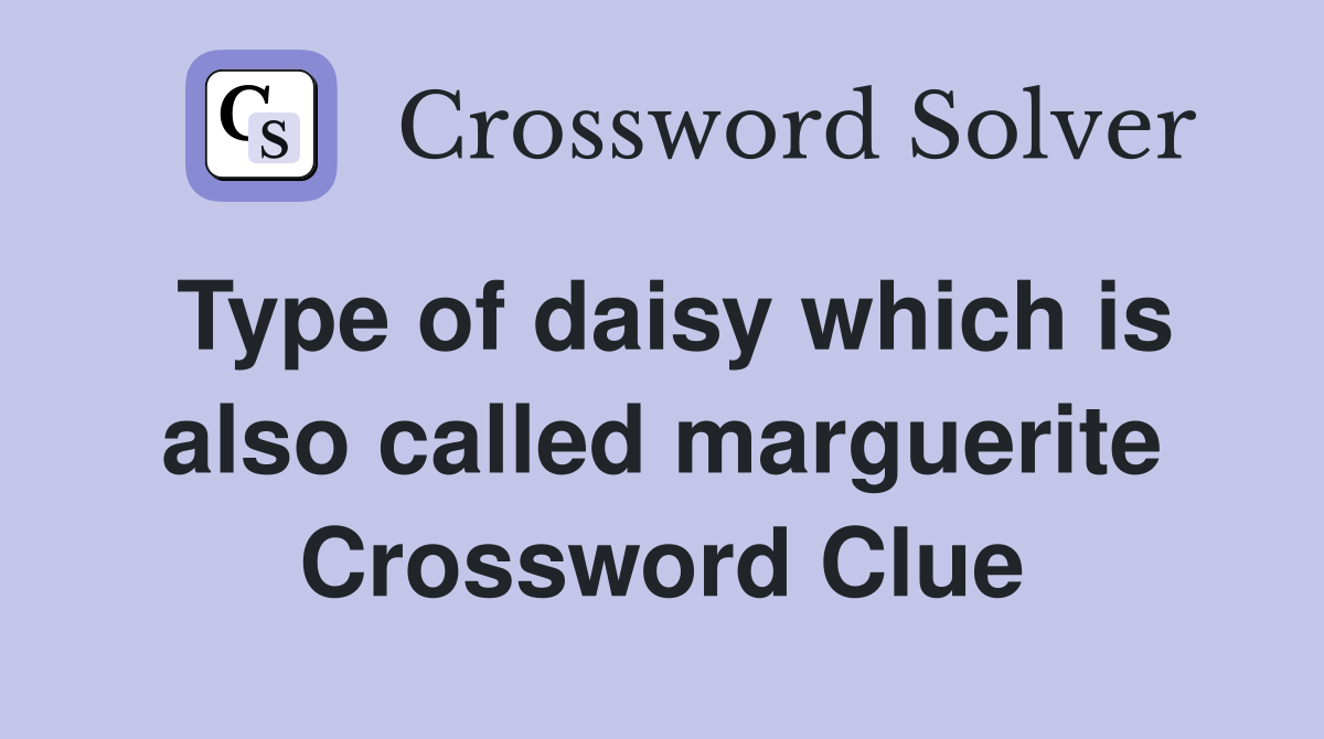 Type of daisy which is also called marguerite Crossword Clue