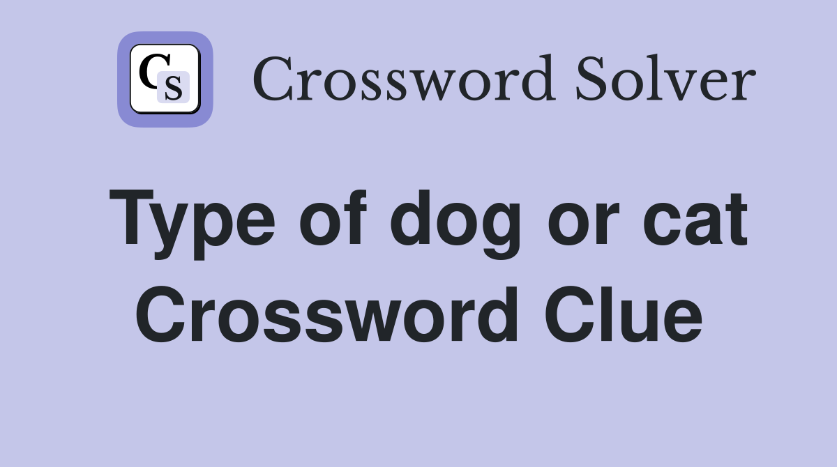 Type of dog or cat Crossword Clue