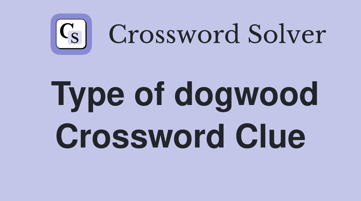 Type of dogwood Crossword Clue