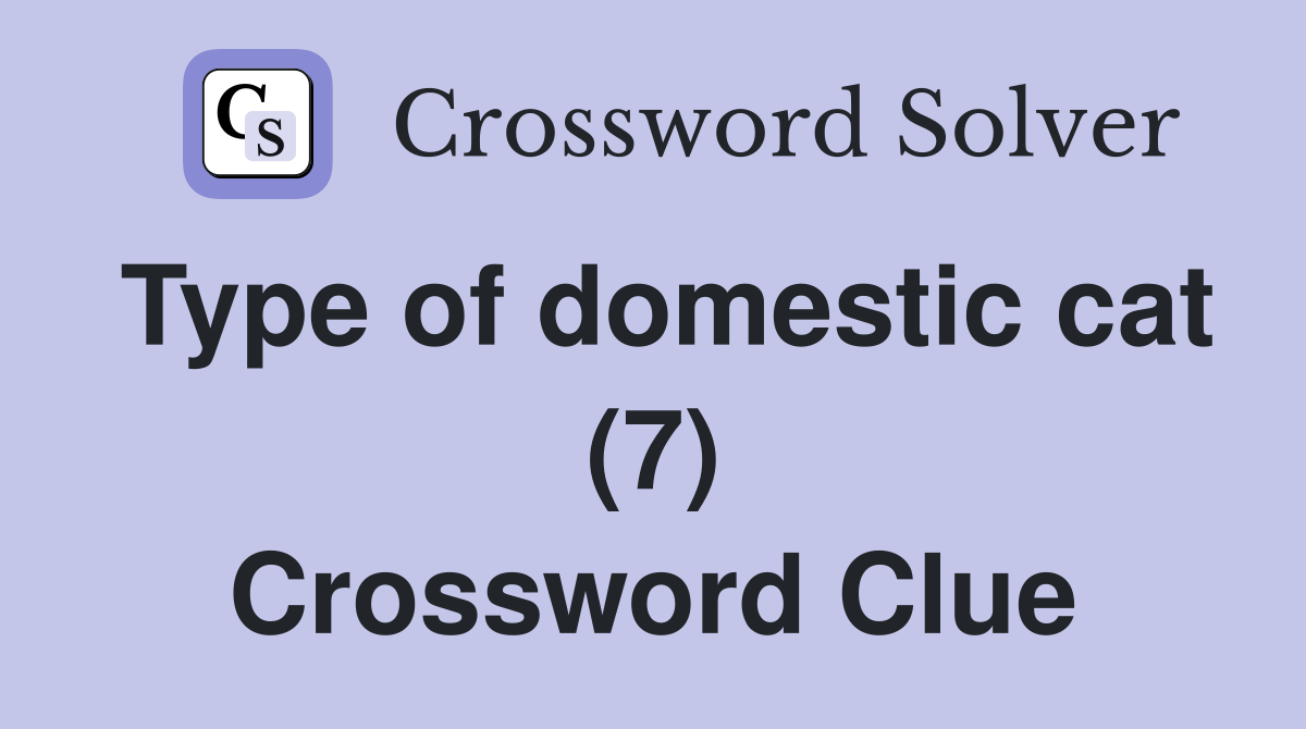 Type of domestic cat (7) Crossword Clue