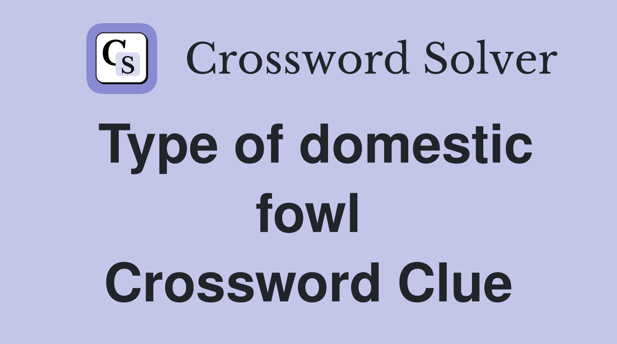 Type of domestic fowl Crossword Clue