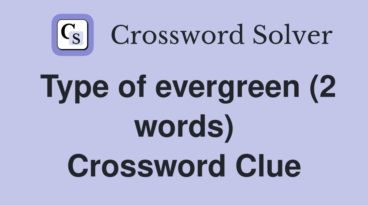 Type of evergreen (2 words) Crossword Clue