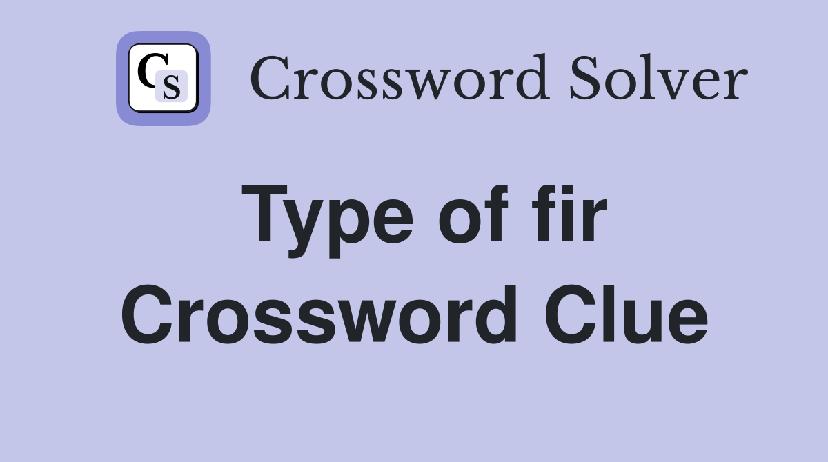 Type of fir Crossword Clue