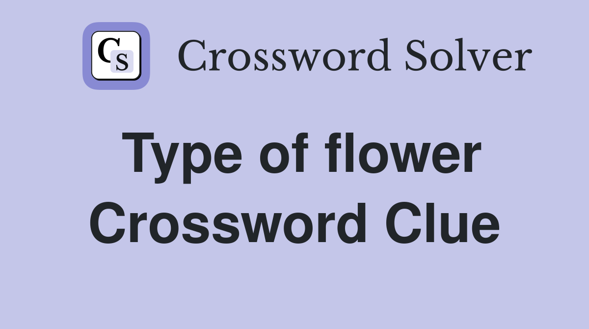 Type of flower Crossword Clue