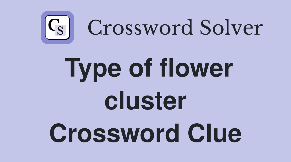 Type of flower cluster Crossword Clue