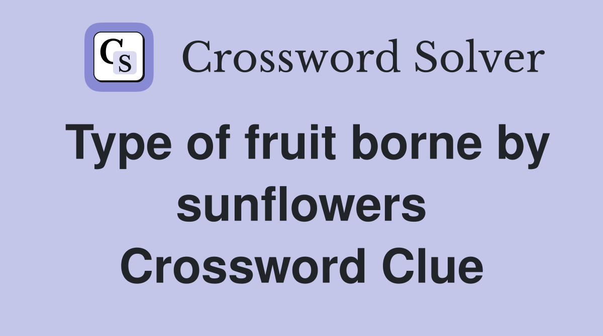 Type of fruit borne by sunflowers Crossword Clue